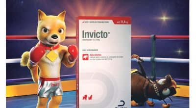 Su pet sin pulgas con INVICTO