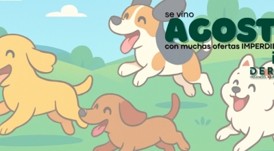 Ofertas de Agosto