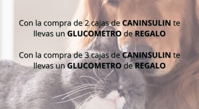 Novedades y mas promos de Diciembre!!!