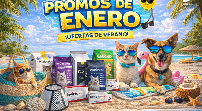 Promos de Enero