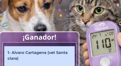 Tenemos un ganador!!!