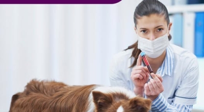 Informacion y novedades