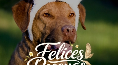 Felices Pascuas !!!