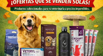 Ahora si arranco el año, ofertas que se venden solas!!!